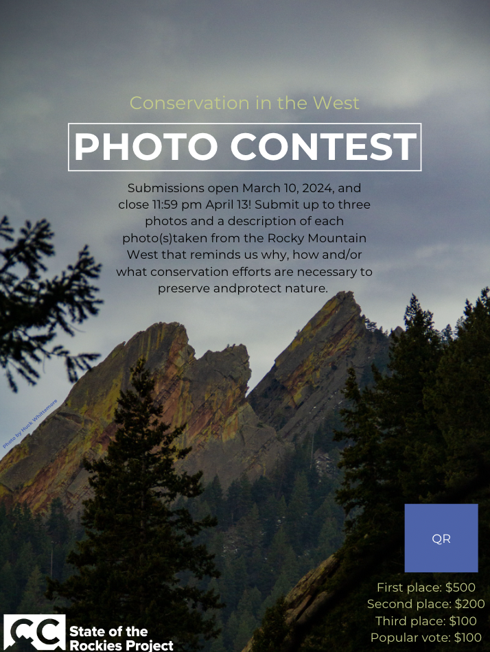  Photo Contest 2